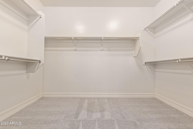 spacious closet featuring carpet flooring