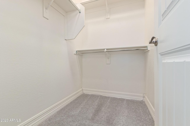 spacious closet with carpet flooring