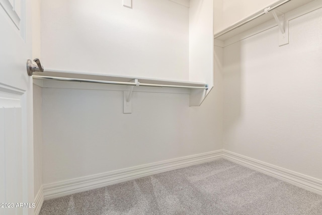 spacious closet with carpet floors