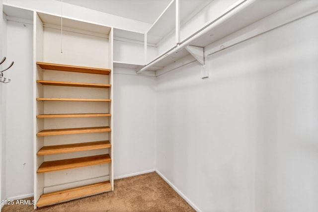 737 E 7th Pl, Mesa, AZ 85203 - walk in closet featuring carpet floors
