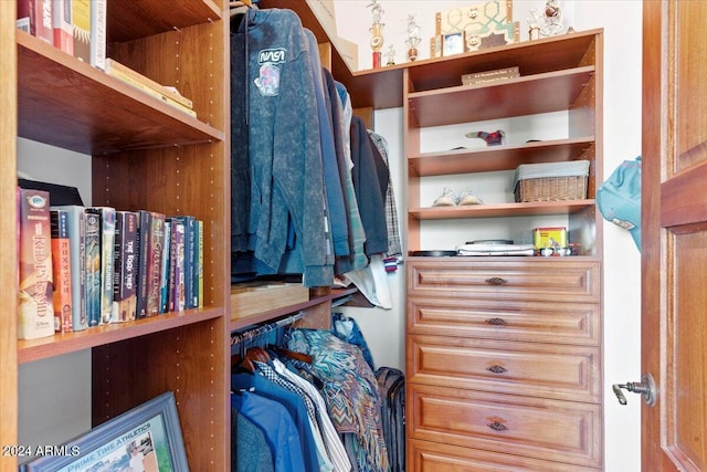 view of spacious closet