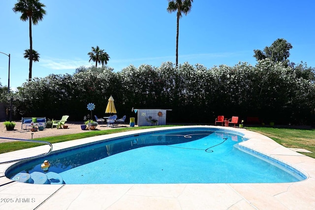 7537 W Bluefield Ave, Glendale, AZ 85308 - swimming pool with a patio area