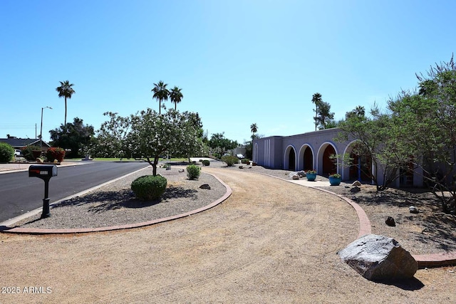 7537 W Bluefield Ave, Glendale, AZ 85308 - view of yard