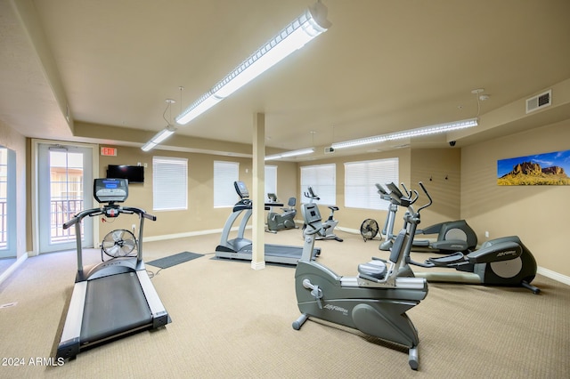 exercise room with light carpet and a healthy amount of sunlight