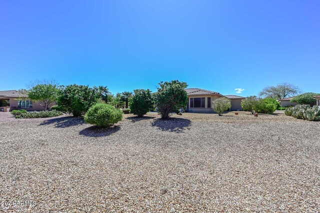 17041 W Artesia Dr, Surprise, AZ 85387 - view of yard