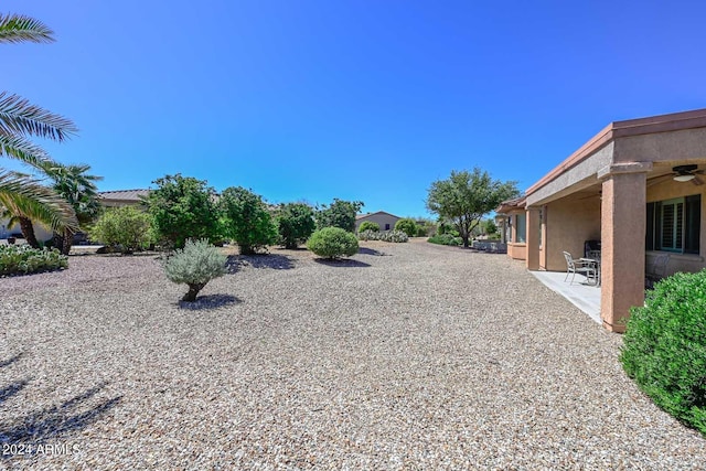 view of yard with a patio area and ceiling fan