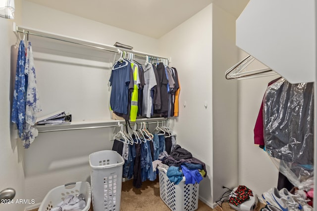 spacious closet with carpet flooring