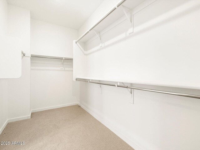 walk in closet with carpet flooring