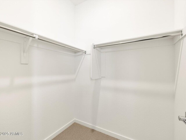 walk in closet featuring light colored carpet
