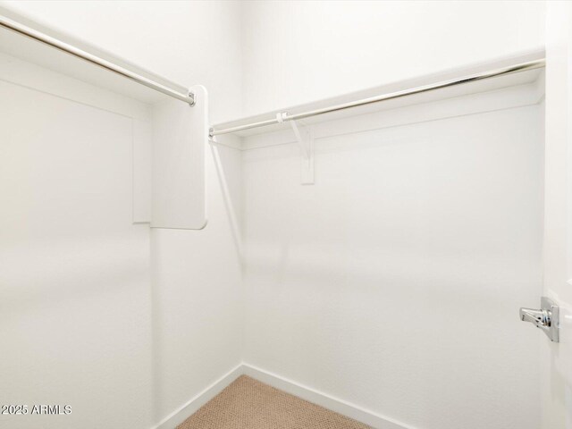 spacious closet featuring carpet