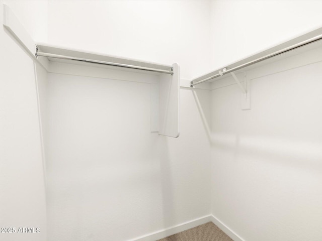spacious closet with carpet floors