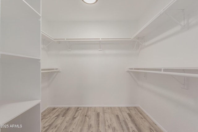 walk in closet featuring wood finished floors