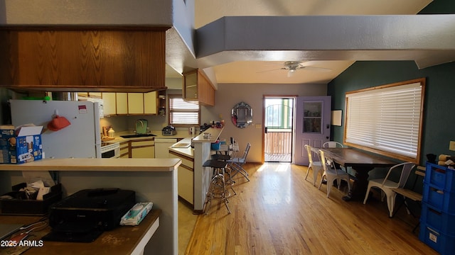 kitchen featuring sink, kitchen peninsula, white fridge, ceiling fan, and light hardwood / wood-style floors