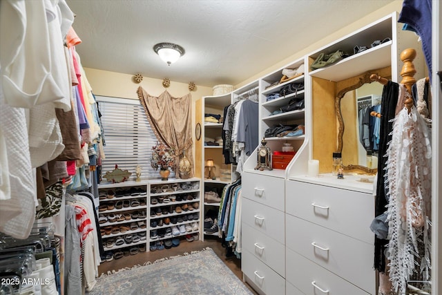 view of walk in closet