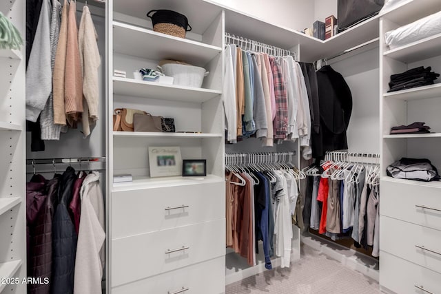 1931 E Aster Pl, Chandler, AZ 85286 - view of walk in closet
