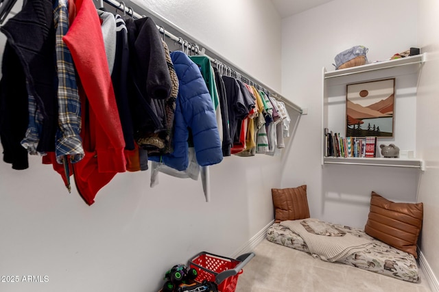 1931 E Aster Pl, Chandler, AZ 85286 - spacious closet with carpet flooring
