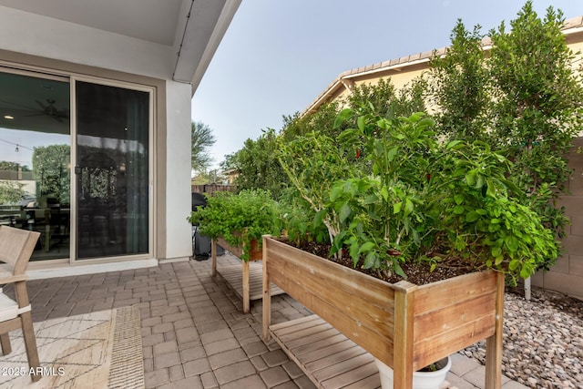 1931 E Aster Pl, Chandler, AZ 85286 - view of patio