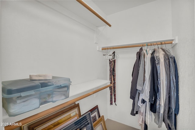view of spacious closet