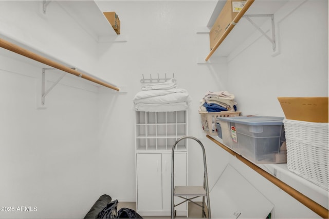 view of walk in closet