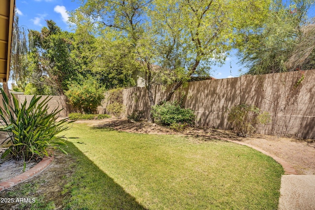 view of yard