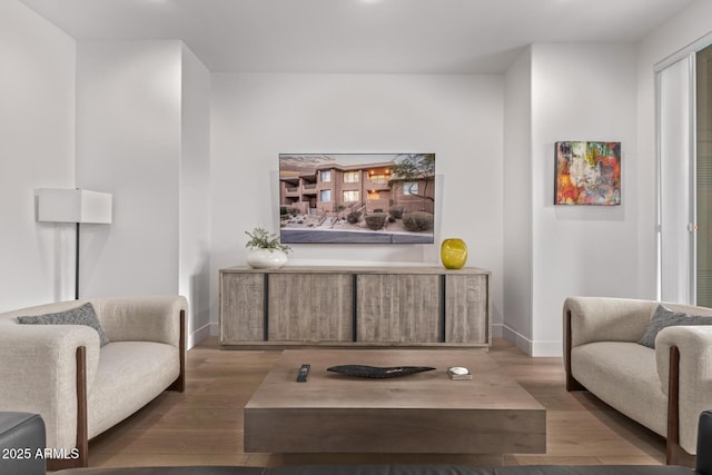 living area featuring wood-type flooring