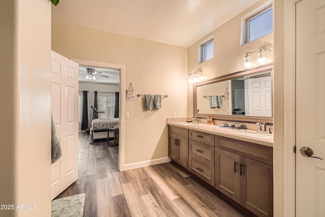 bathroom with wood-type flooring and vanity