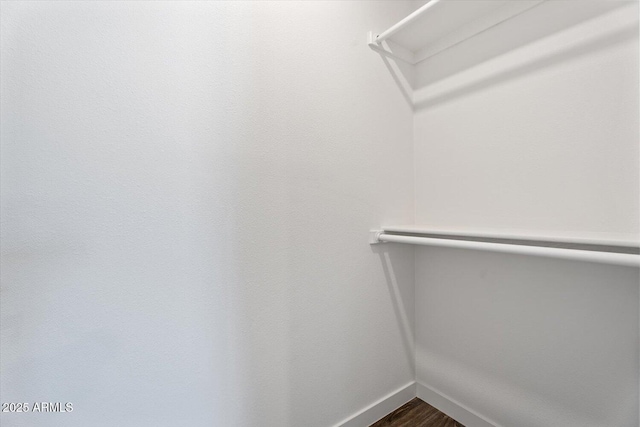 spacious closet featuring dark wood-style floors