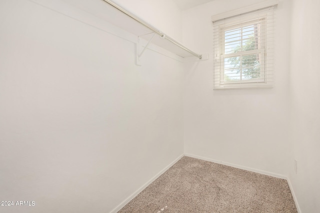 walk in closet with carpet flooring