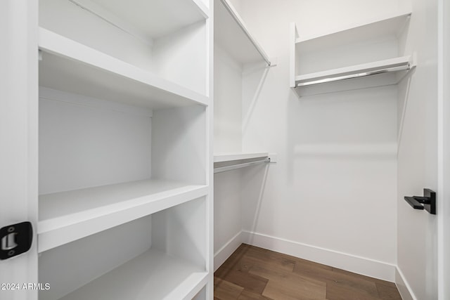 spacious closet featuring dark hardwood / wood-style floors