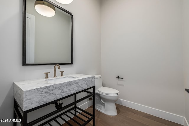 bathroom featuring toilet, vanity, and wood-type flooring