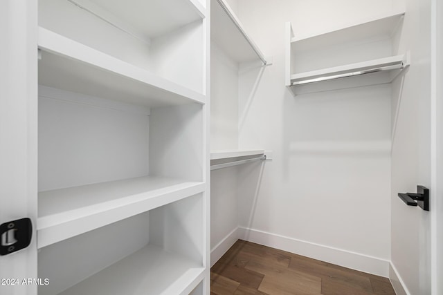 spacious closet with dark wood finished floors