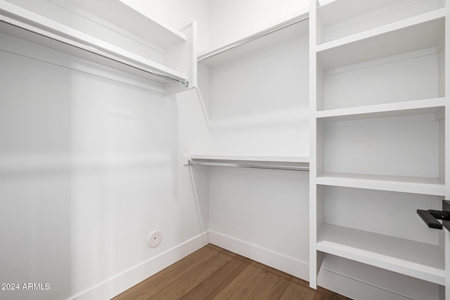 walk in closet featuring wood finished floors