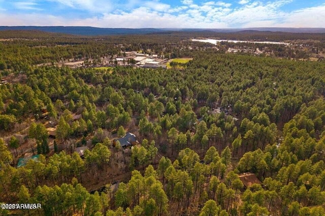 aerial view with a view of trees