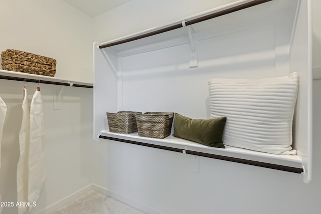 spacious closet with light carpet