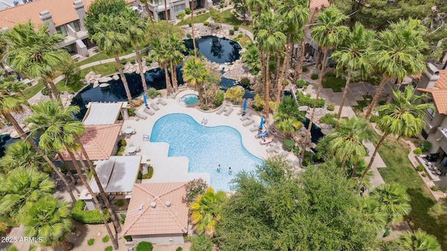aerial view of a pool