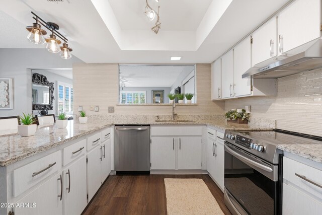 9621 E Calgary Ave, Sun Lakes, AZ 85248 - kitchen featuring appliances with stainless steel finishes, a sink, a tray ceiling, dark wood finished floors, and ventilation hood
