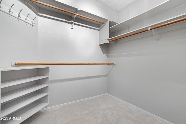 9621 E Calgary Ave, Sun Lakes, AZ 85248 - walk in closet with carpet