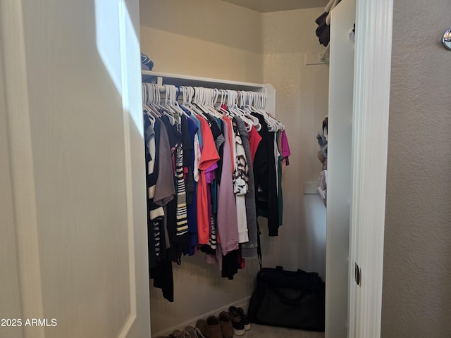 view of spacious closet