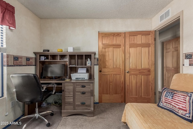 2003 W Tyson St, Chandler, AZ 85224 - carpeted home office featuring visible vents and a textured ceiling