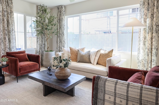 living room featuring plenty of natural light