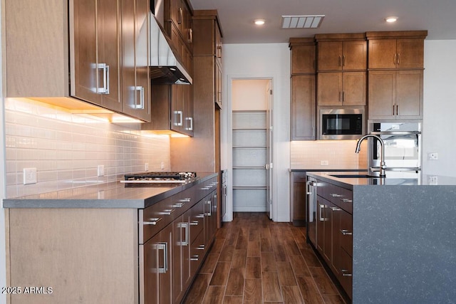 kitchen with ventilation hood, sink, and appliances with stainless steel finishes