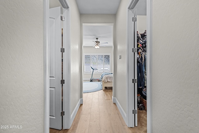 1439 E Mead Dr, Gilbert, AZ 85298 - hall with light wood-style floors, baseboards, and a textured wall