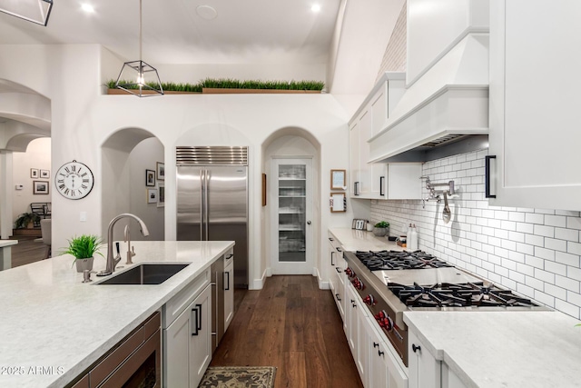 kitchen with premium range hood, stainless steel appliances, a sink, dark wood-type flooring, and tasteful backsplash