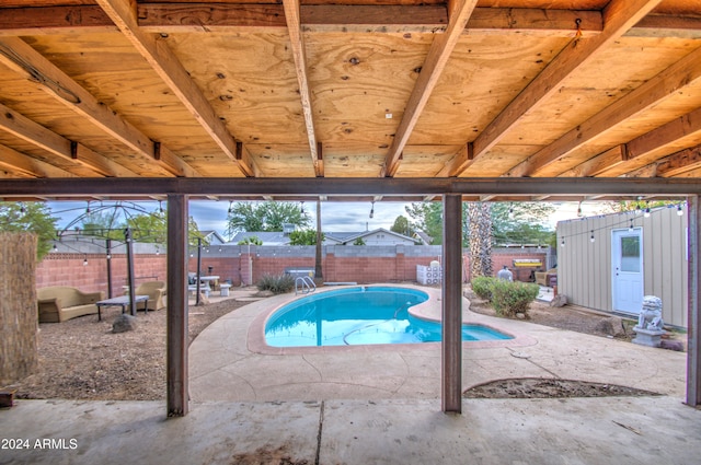 view of pool with a patio area