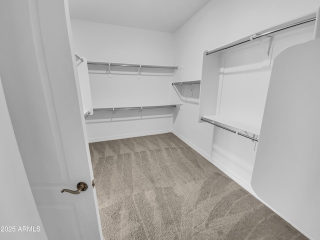 walk in closet featuring carpet floors