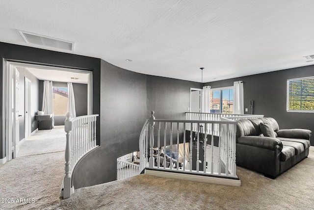 interior space with plenty of natural light, a textured ceiling, and carpet flooring