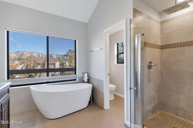 1380 Vista Montana Rd Unit 22, Sedona, AZ 86336 - bathroom featuring a stall shower, a freestanding bath, toilet, vanity, and lofted ceiling