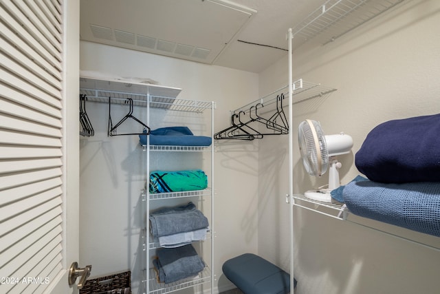 view of spacious closet