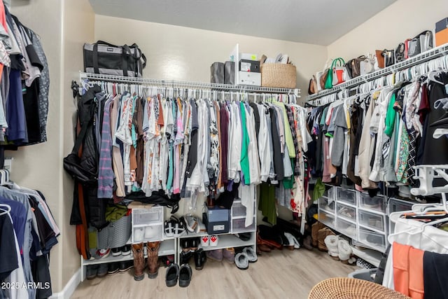 walk in closet featuring hardwood / wood-style flooring