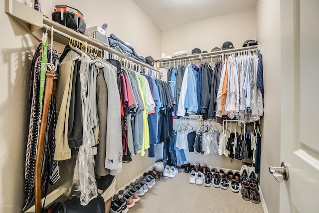 walk in closet with carpet floors